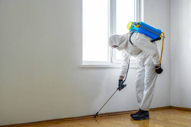 Best Rat Extermination Near Me  in Fishers, IN